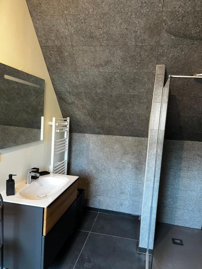 Magnifique Duplex Avec Jaccuzi, Sauna Et Cinema Room Privatif Fontenoy  Zewnętrze zdjęcie